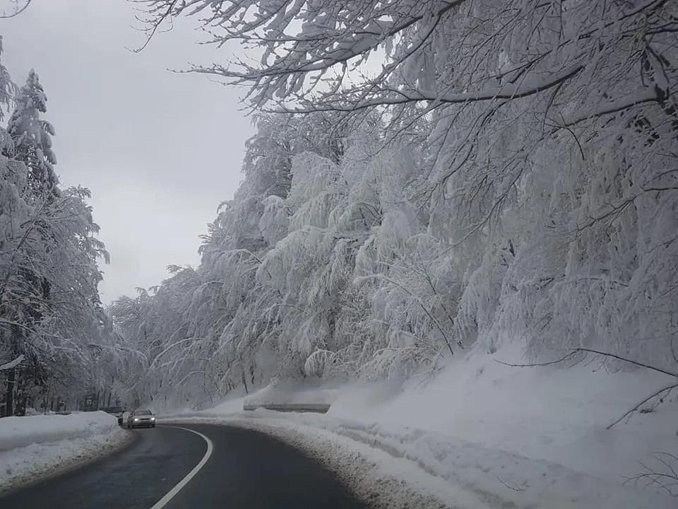 El Niño și vortexul polar ar putea aduce o iarnă extremă. Europa, amenințată de valuri severe de frig