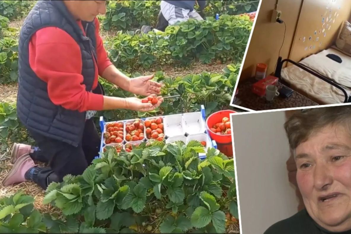 Drama românilor plecați la muncă peste hotare, mărturii sfâșietoare. Cum i-au amăgit politicienii sistemului ani la rând -VIDEO