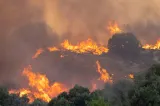 MAE, atenționare de călătorie pentru români. Stare de urgență în Serbia din cauza incendiilor de vegetație