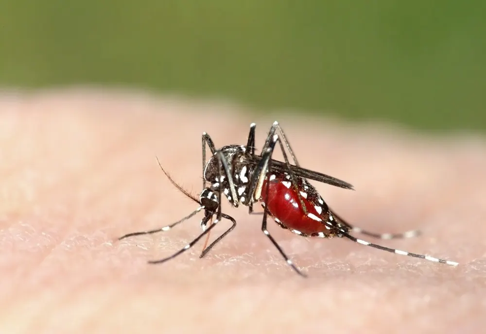 West Nile