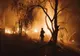 GUVERNATORUL CALIFORNIEI A DECLARAT STARE DE URGENȚĂ ÎN LOS ANGELES DIN CAUZA INCENDIILOR DEVASTATOARE